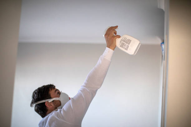 Best Mold Damage Repair  in Vandergrift, PA