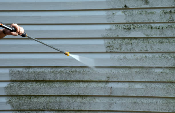 Best Fast Mold Removal  in Vandergrift, PA